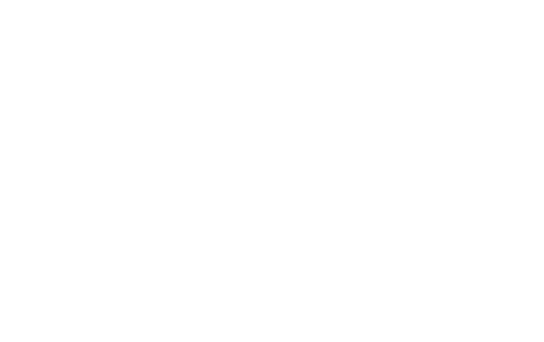 Superian logo